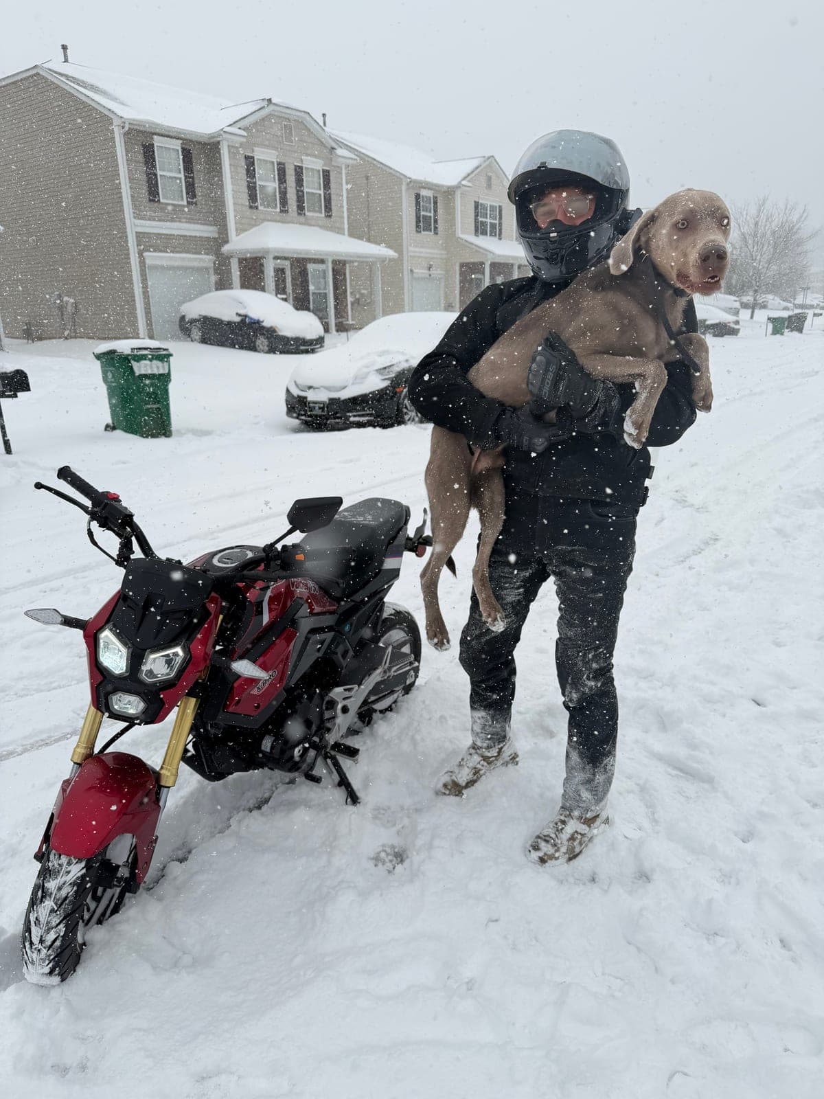 Motorcycle in heavy snow with dog